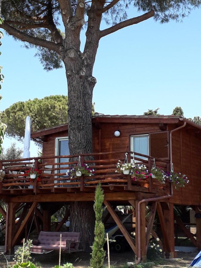 Il Vivaio Vila Tarquinia Exterior foto