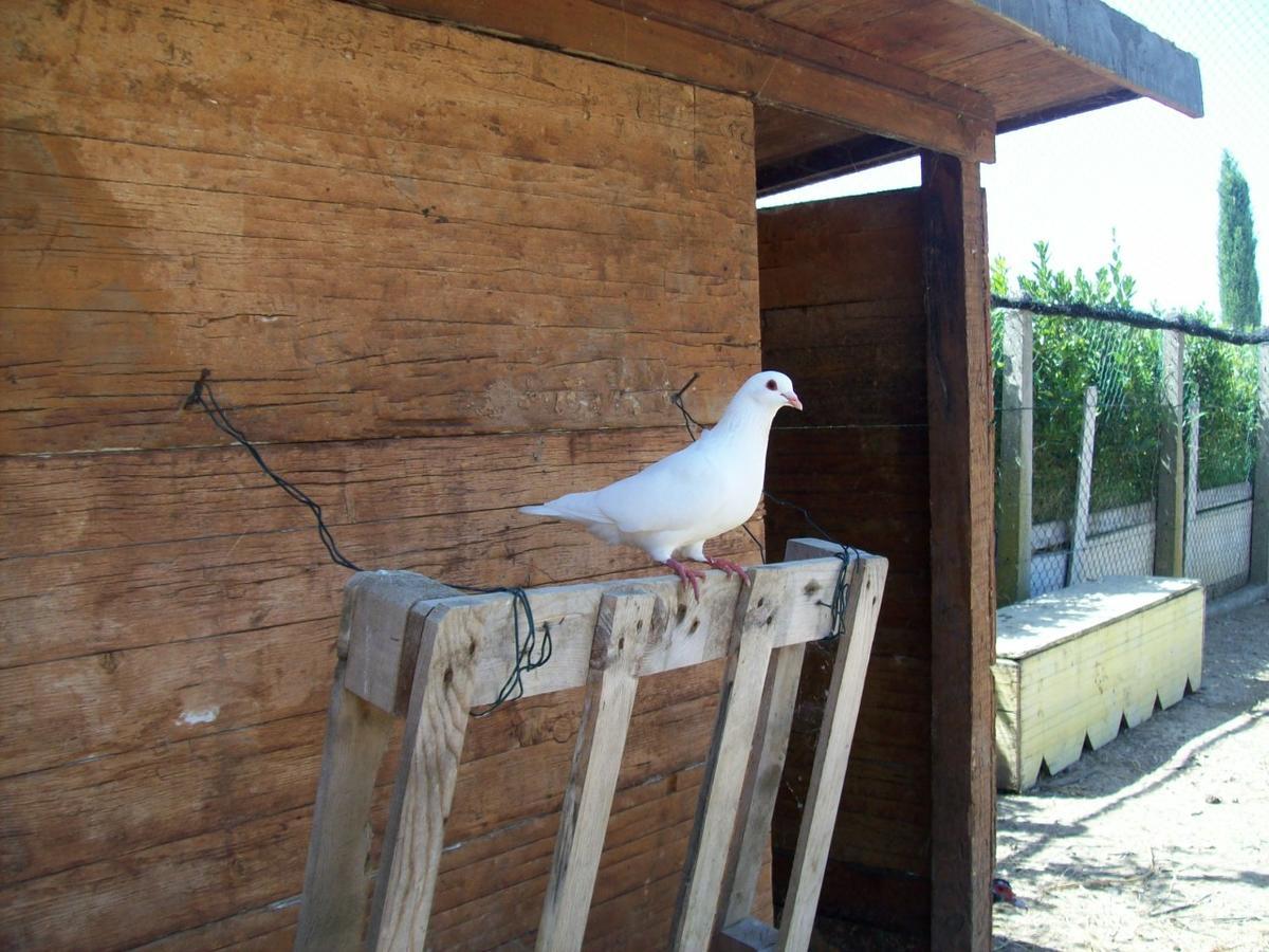 Il Vivaio Vila Tarquinia Exterior foto